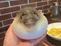 -永安鱼庄·镇江菜(东吴路店)