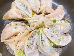 -小金鬼·煎饺·鸽子汤