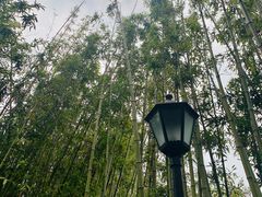 -乌记大厨餐厅