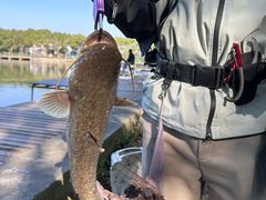 -新怡路亚垂钓园