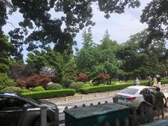-八大关景区