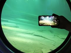 -白鹤梁水下博物馆