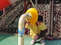 -合肥滨湖国家森林公园