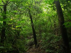 -阳台山自然风景区