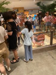 -造物庄园 萌宠纪(苏州湾歌林公园店)