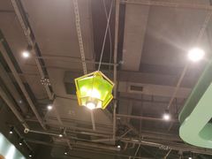 -春润大地海南椰子鸡(沙井京基百纳广场店)