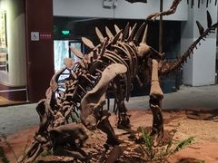 -自贡恐龙博物馆