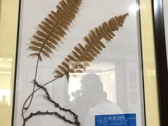 -杭州市萧山区中医院