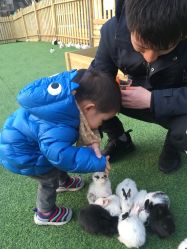 -萌宠亲子动物乐园(槐房万达店)