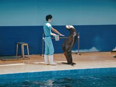 -厦门海底世界