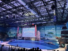 -华夏文旅海洋公园