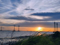 -宝安西湾红树林湿地公园