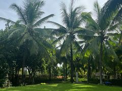 -三亚海棠湾喜来登度假酒店