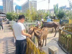 -三分地生态园·儿童乐园