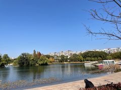 -新江湾城公园
