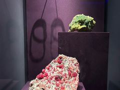 -山东博物馆