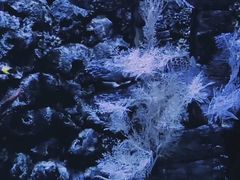 -欢乐海岸海洋奇梦馆