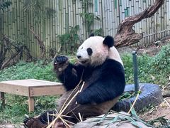 -广州长隆野生动物世界