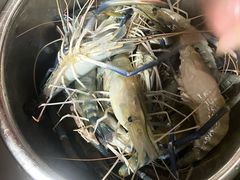 -江杨农产品批发市场