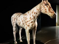 -台北故宫博物院