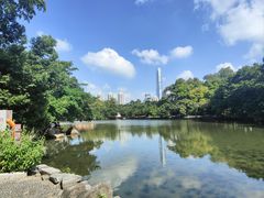 -荔枝公园(福田区)