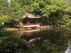 -汇龙潭