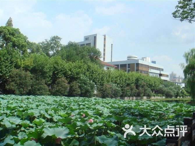 华东师范大学(中山北路校区)图片 第28张