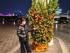 -广州白天鹅宾馆