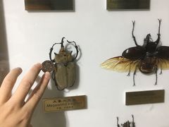-上海昆虫博物馆
