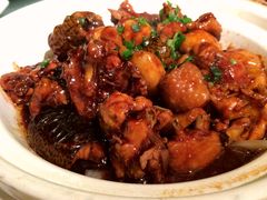 黄鳝烧鸡-品悦酒店(三林古镇店)