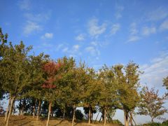 -滆湖低碳生态公园