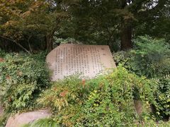 -杭州半山国家森林公园