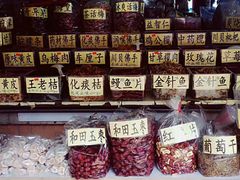 -大湾区中央湿地公园-十九涌