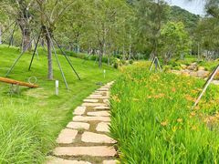 -西涌国际滨海旅游区