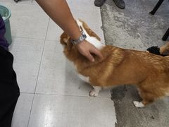 -小梁哥云吞面(黄贝岭店)