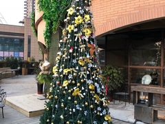 -胡桃里音乐酒馆(观澜御湖店)