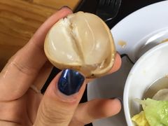 -绿光森林餐厅
