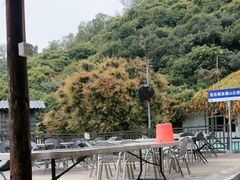 -鲤鱼塘农家山庄