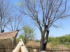 -Supine Bistro溯泮餐厅