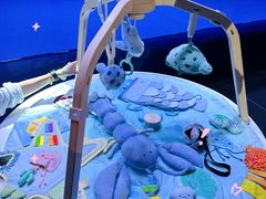 -深圳湾万象城(南山店)