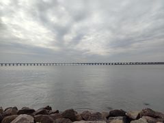 -宝安西湾红树林湿地公园