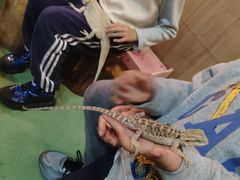 -藦茜花园宠物主题亲子互动体验馆(国顺东路店)
