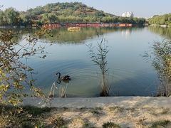 -南翠屏公园