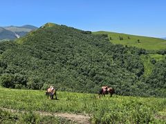 -灵山