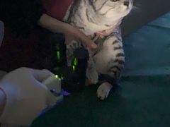 -美联众合爱康动物医院•复杂内科•肿瘤科•牙科•腔镜诊疗中心