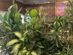 -Margherita雏菊意大利餐厅(雅颂庭购物中心店)