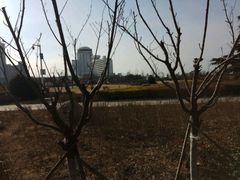 -汇泉广场