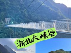 -阿露佳·舌尖上的安吉菜