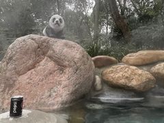 -青城道汤池
