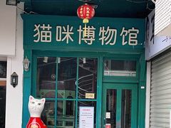 -猫咪博物馆(顶澳仔猫街店)